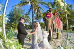 thai_elephant_wedding_01