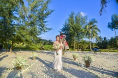thai_elephant_wedding_02