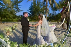 thai_elephant_wedding_03