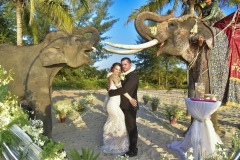 thai_elephant_wedding_05
