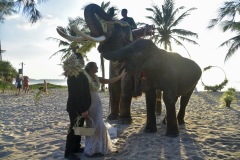 thai_elephant_wedding_07