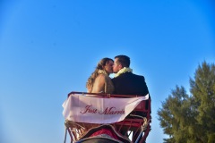 thai_elephant_wedding_09