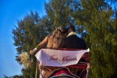 thai_elephant_wedding_10