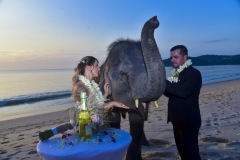 thai_elephant_wedding_11