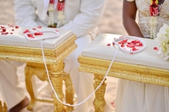 1_Pattaya-Beach-Elephant-Wedding-Package-Grace-Torey-09